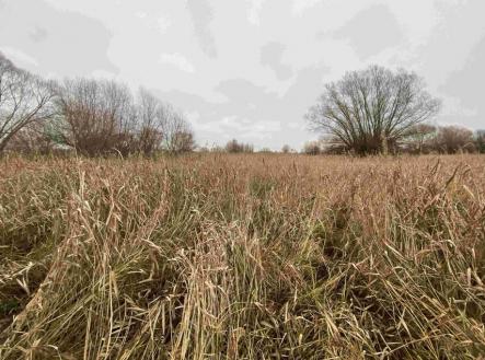 Prodej pozemku, trvalý travní porost, 4 103 m²