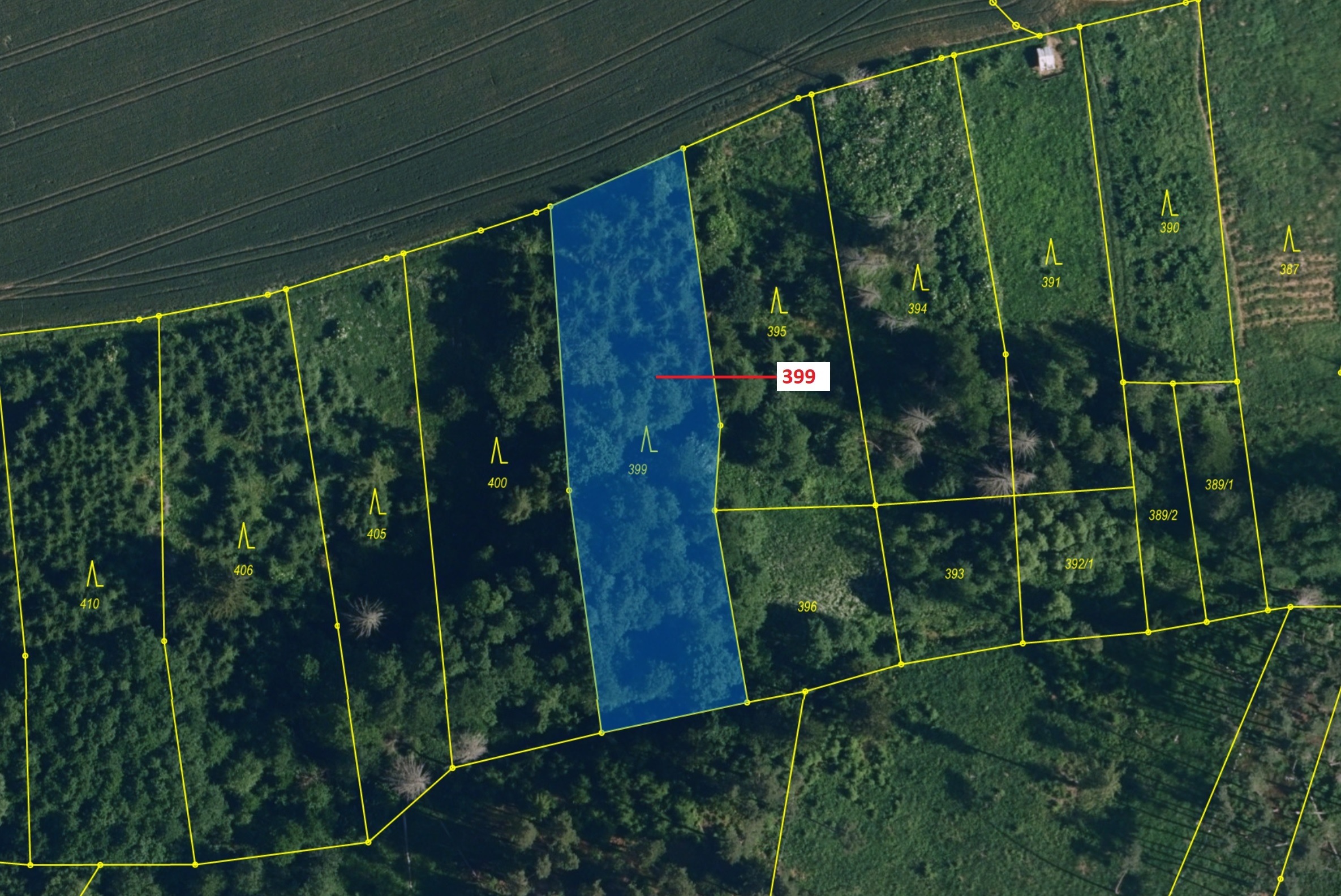 Lesní pozemek o výměře 2054 m2, podíl 1/1, katastrální území Chotěbudice, obec Chotěbudice, obec s r