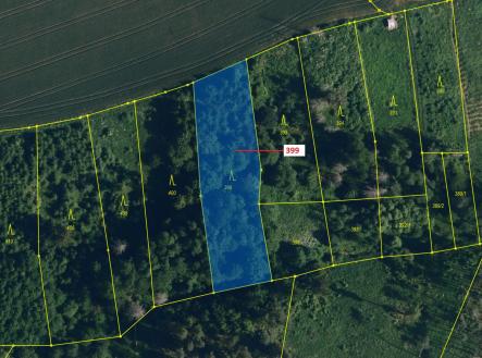 Prodej pozemku, les, 2 054 m²