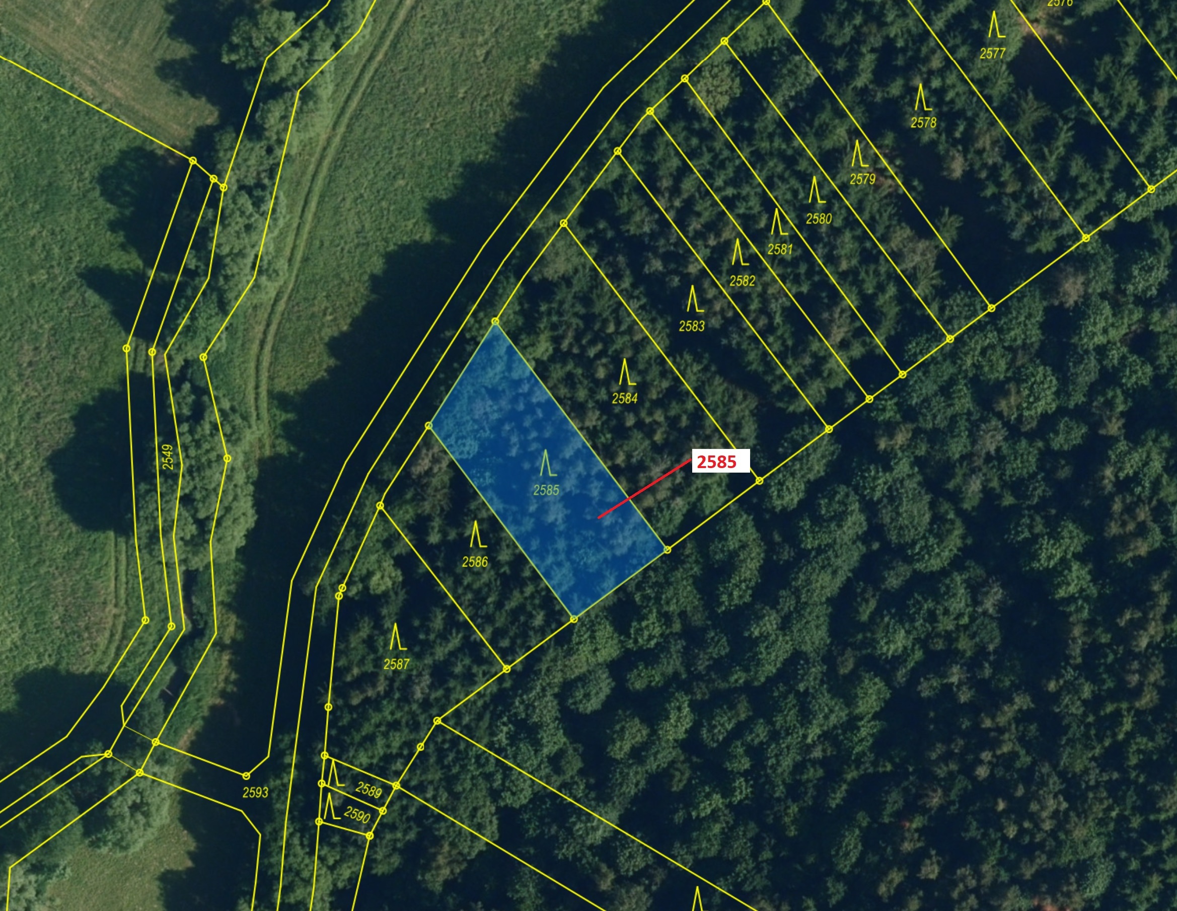 Lesní pozemek o výměře 774 m2, podíl 1/1, katastrální území Chotěbudice, obec Chotěbudice, obec s ro