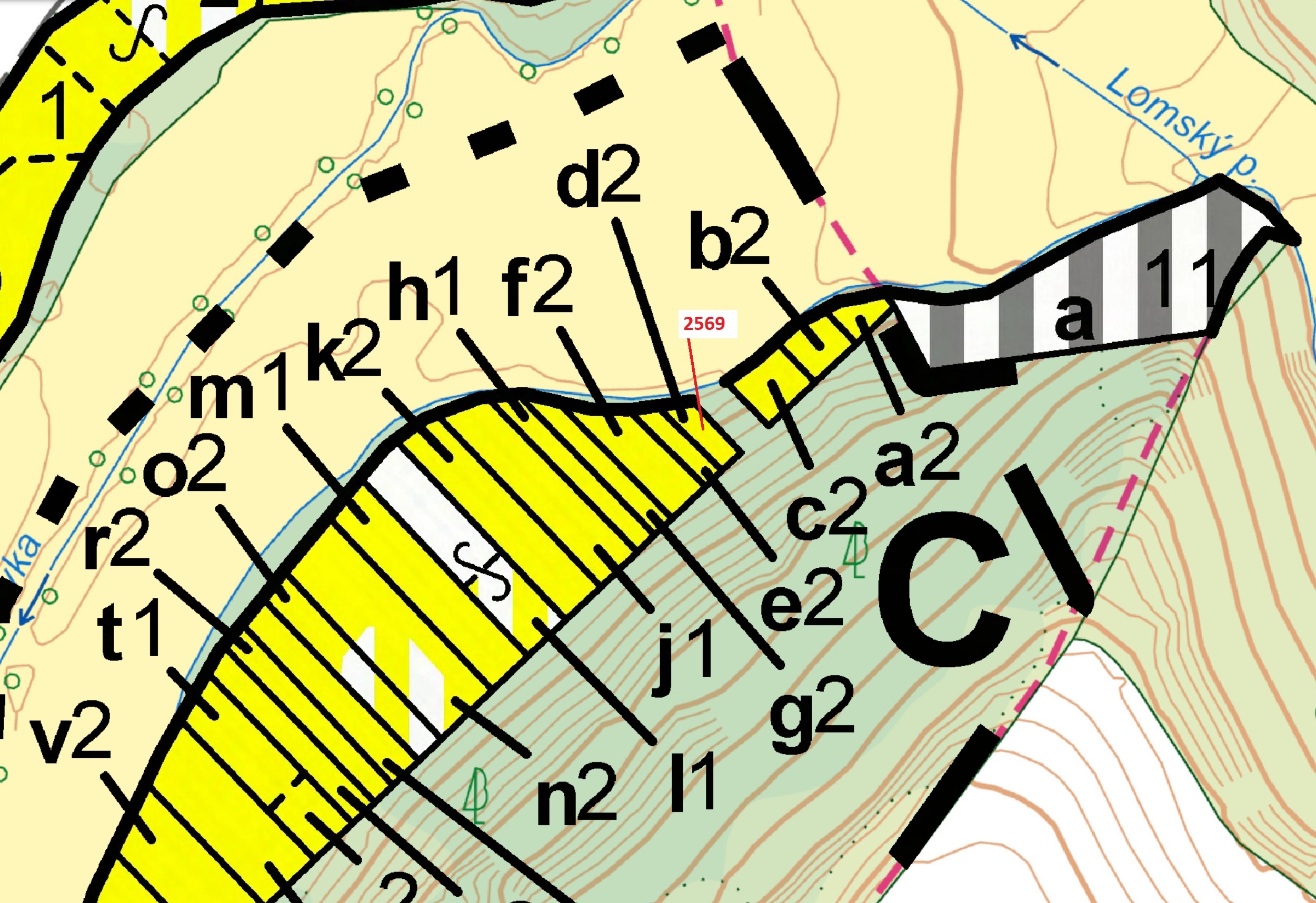 Lesní pozemek o výměře 155 m2, podíl 1/1, katastrální území Chotěbudice, obec Chotěbudice, obec s ro