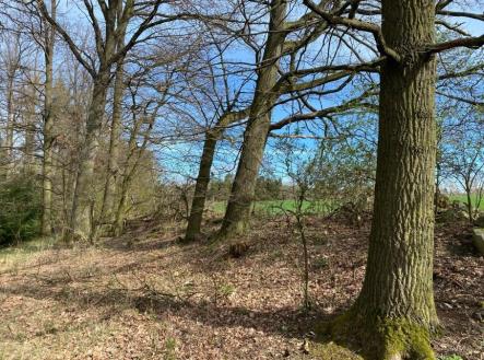 Prodej pozemku, trvalý travní porost, 17 482 m²