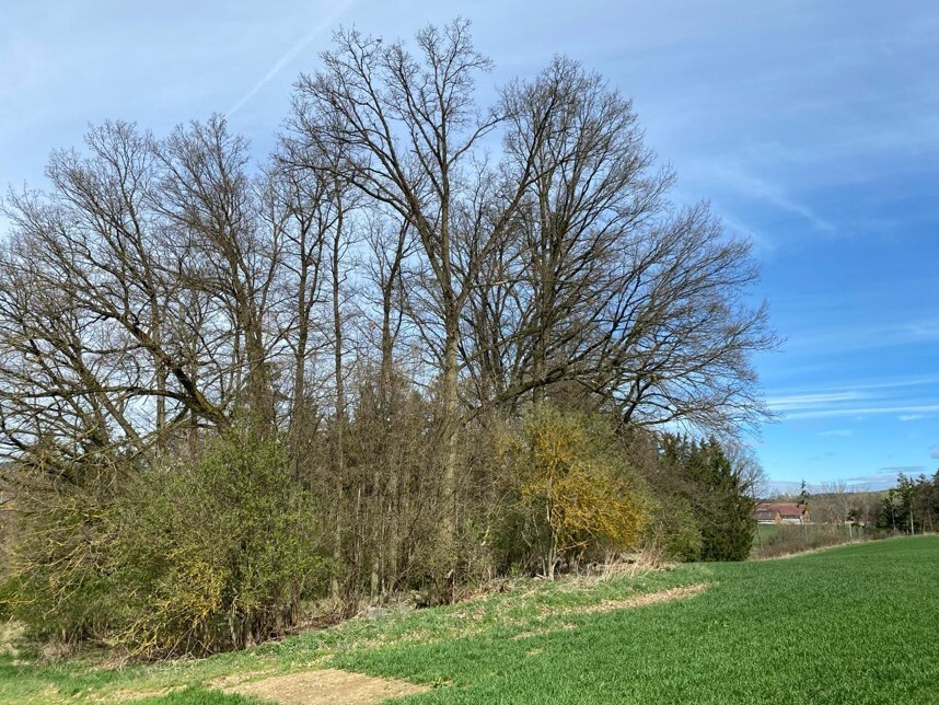 Pozemek o velikosti 17482m2, Okrouhlá Radouň