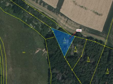 Prodej pozemku, les, 529 m²