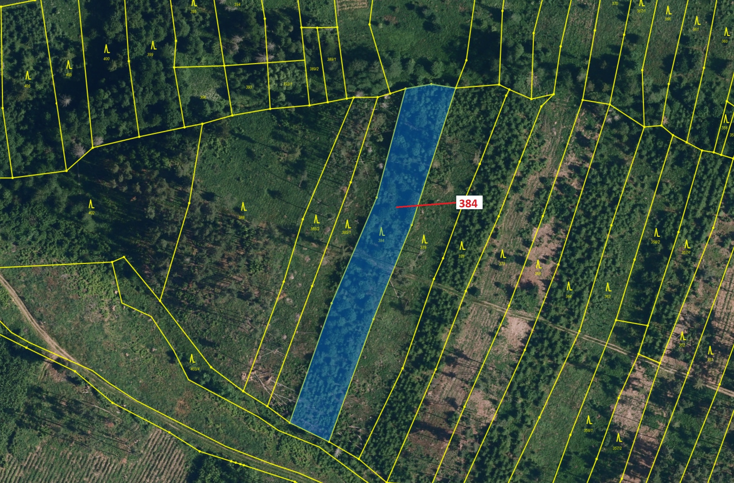 Lesní pozemek o výměře 4302 m2, podíl 1/1, katastrální území Chotěbudice, obec Chotěbudice, obec s r