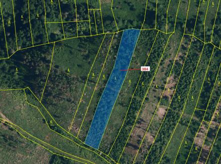 Prodej pozemku, les, 4 302 m²