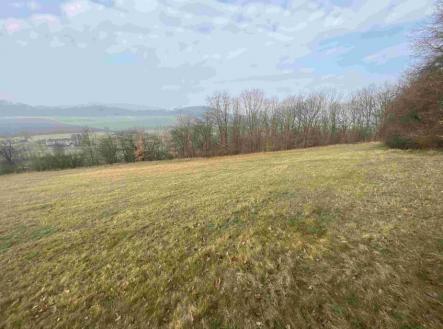 Prodej pozemku, trvalý travní porost, 9 269 m²