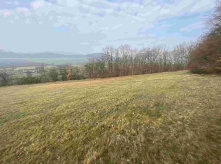 Prodej pozemku, trvalý travní porost, 9 269 m²