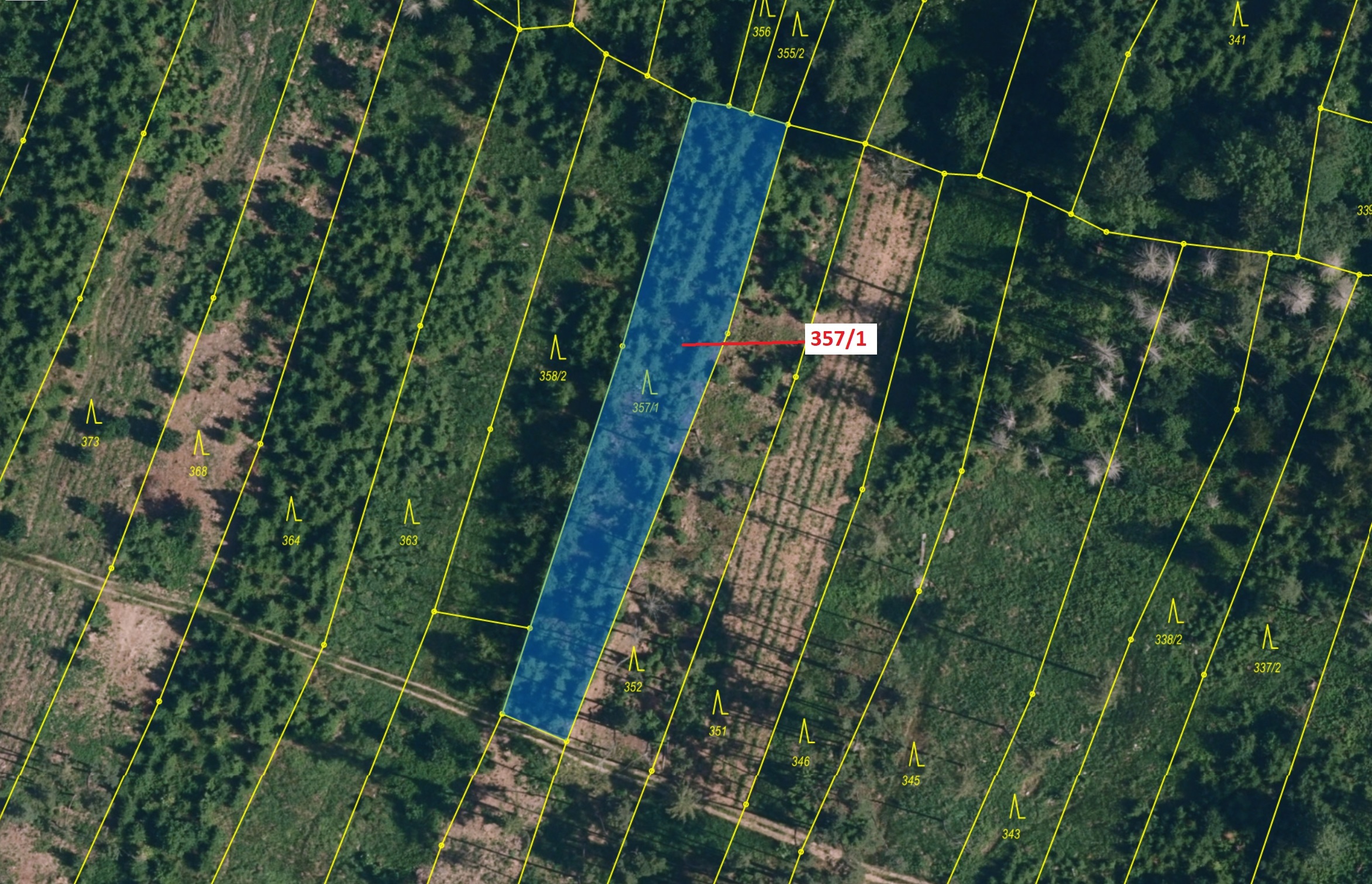 Lesní pozemek o výměře 1670 m2, podíl 1/1, katastrální území Chotěbudice, obec Chotěbudice, obec s r