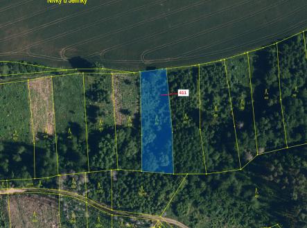 Prodej pozemku, les, 1 979 m²