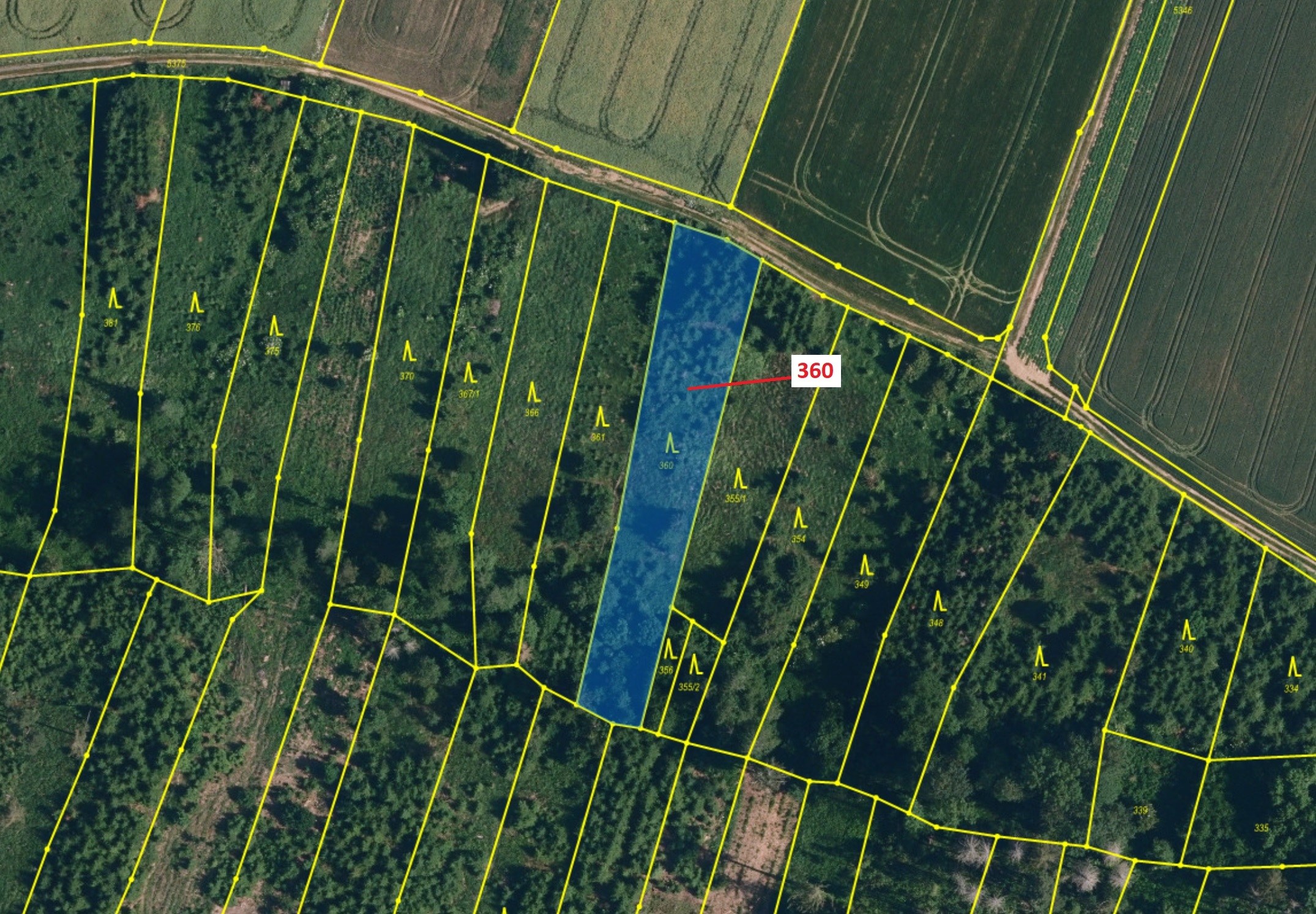 Lesní pozemek o výměře 1822 m2, podíl 1/1, katastrální území Chotěbudice, obec Chotěbudice, obec s r