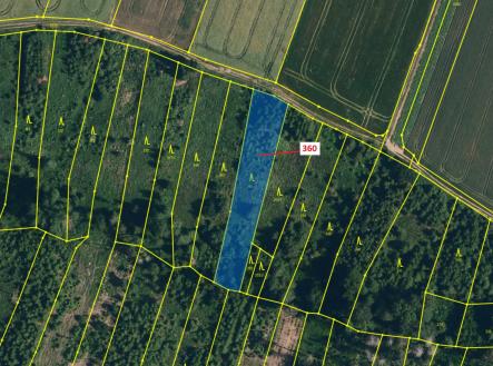 Prodej pozemku, les, 1 822 m²