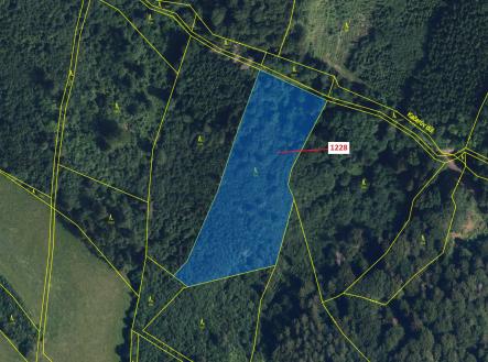 Prodej pozemku, les, 10 403 m²