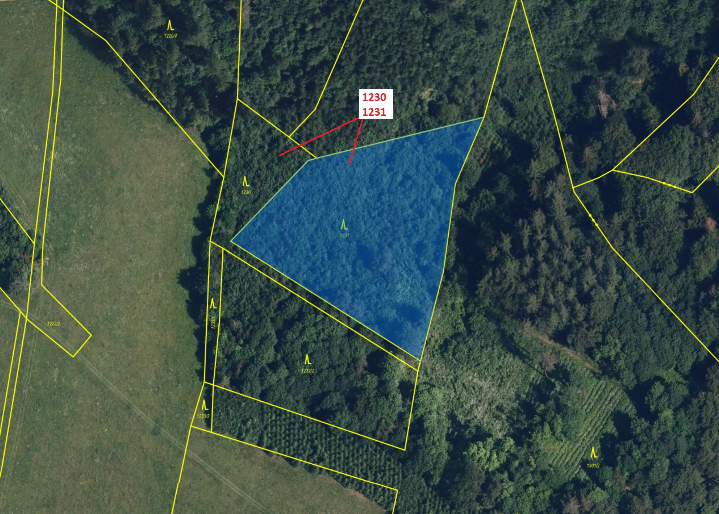 Lesní pozemek o výměře 7904 m2, podíl 1/1, katastrální území Horní Studénky, obec Horní Studénky, ob