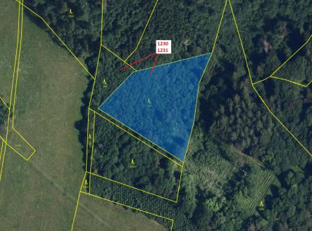 Prodej pozemku, les, 7 904 m²
