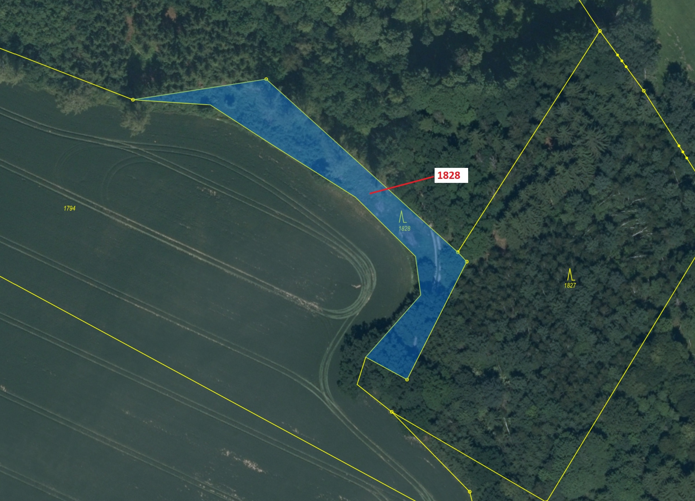 Lesní pozemek o výměře 1841 m2, podíl 1/1, katastrální území Chotýšany, obec Chotýšany, obec s rozší