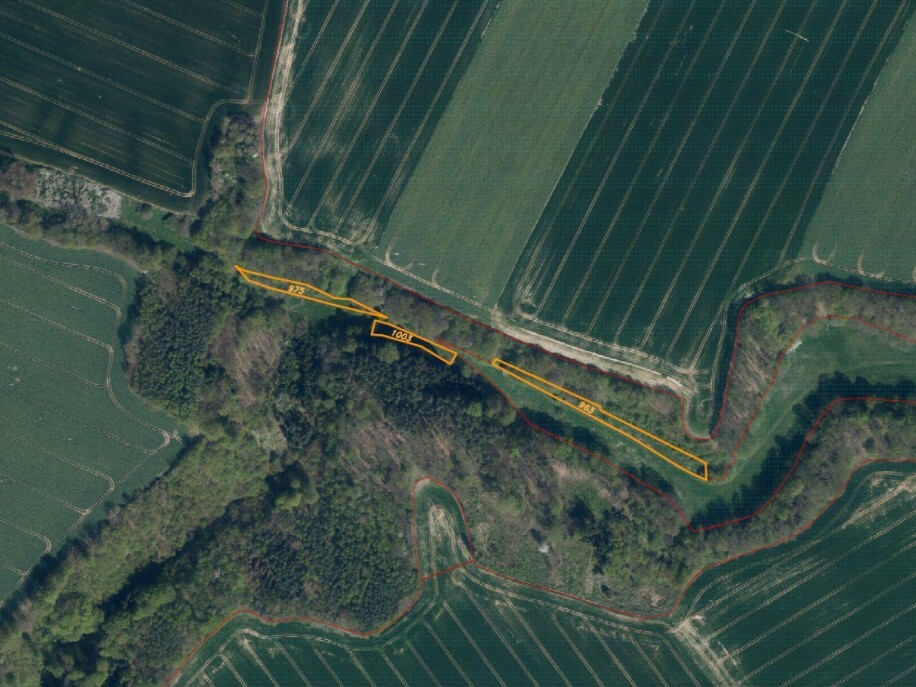 Pozemek o velikosti 3829m2, Tachov u Doks