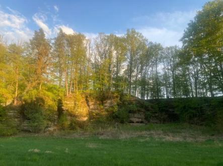 Prodej pozemku, trvalý travní porost, 3 829 m²