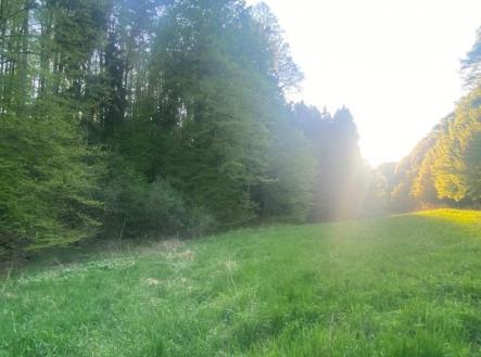 Prodej pozemku, trvalý travní porost, 3 829 m²