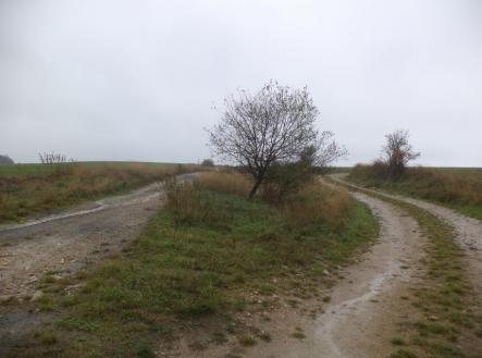 Prodej pozemku, trvalý travní porost, 7 060 m²