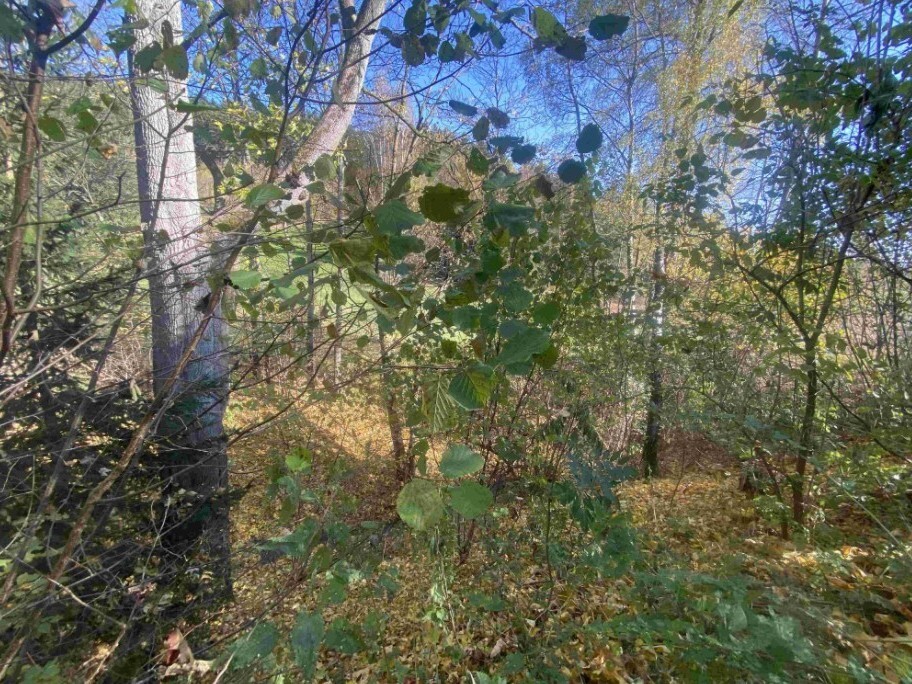 Pozemek o velikosti 449m2, Jindřichov nad Nisou