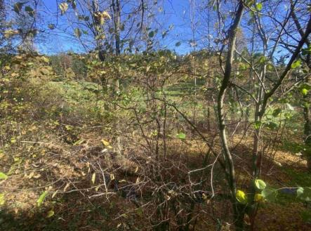 Prodej pozemku, ostatní, 449 m²