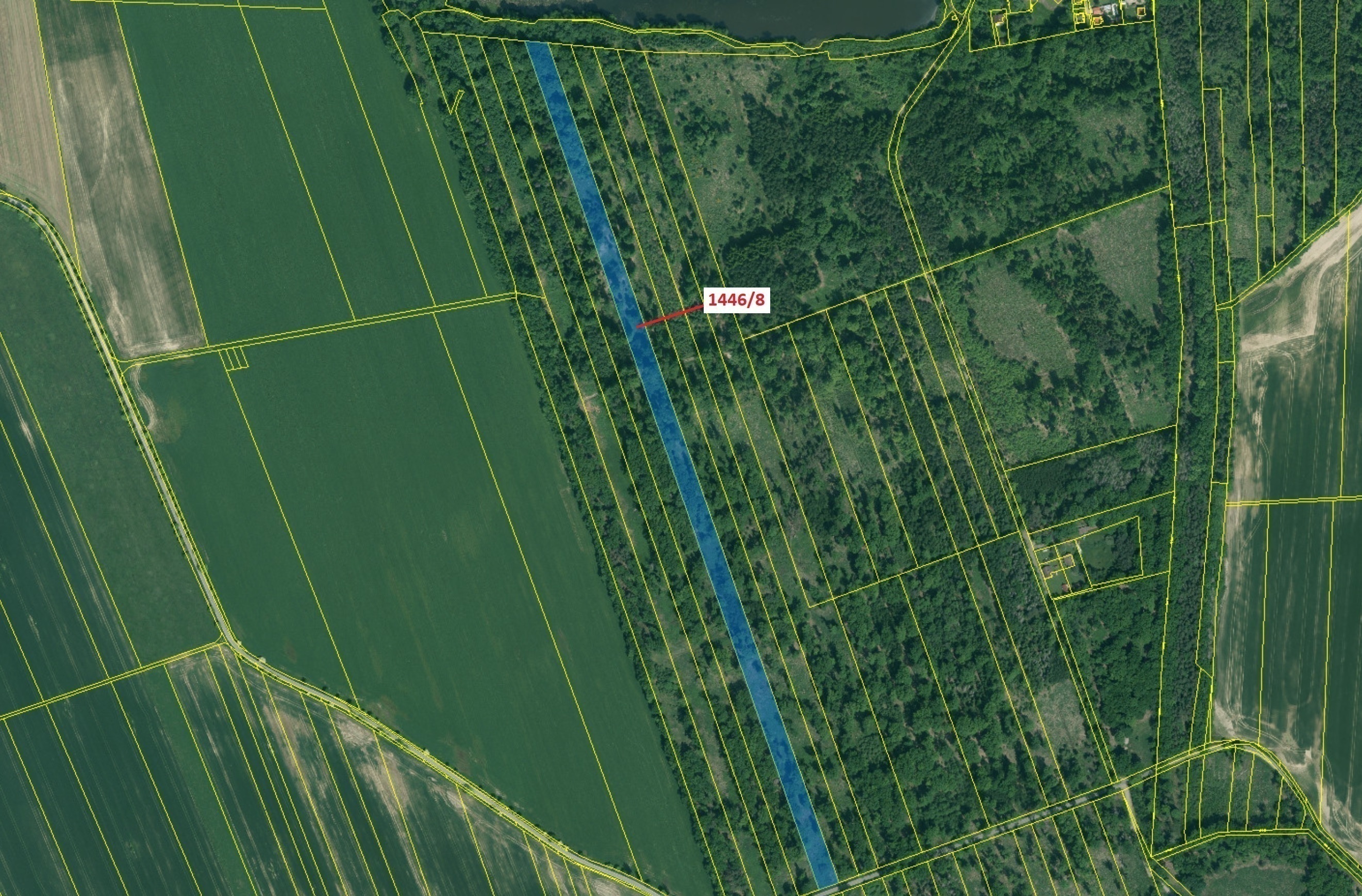 Lesní pozemek o výměře 20 146 m2, podíl 1/1, katastrální území Břehov, obec Břehov, obec s rozšířeno