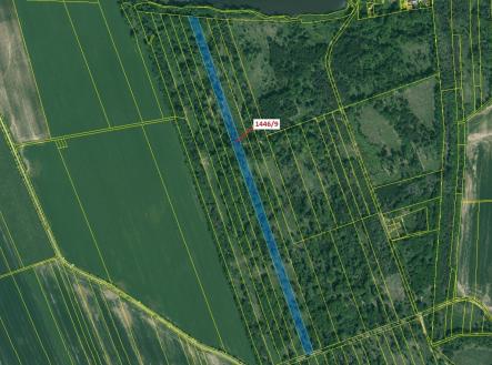 Prodej pozemku, les, 19 879 m²