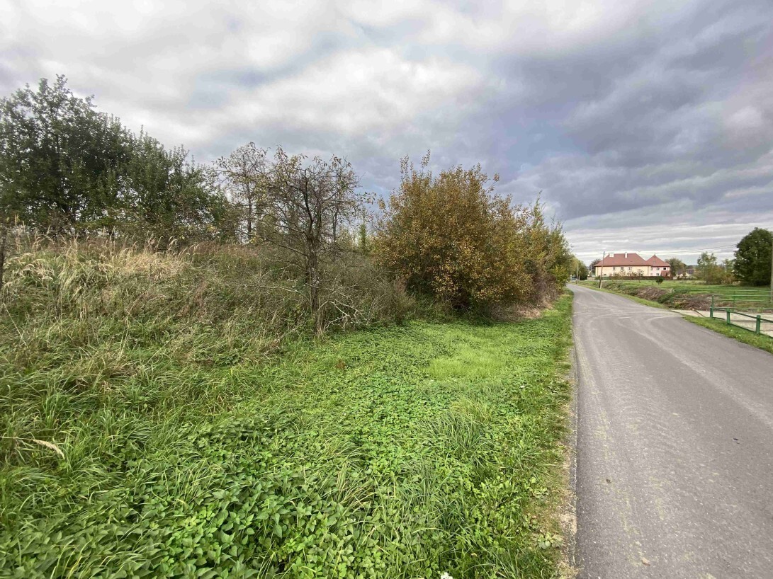 Stavební pozemek o velikosti 1651m2, Hoštice