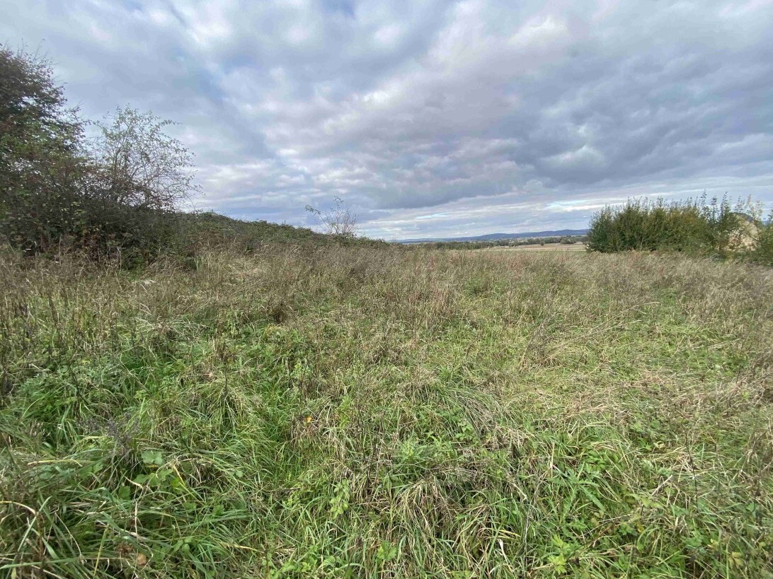 Stavební pozemek o velikosti 1651m2, Hoštice