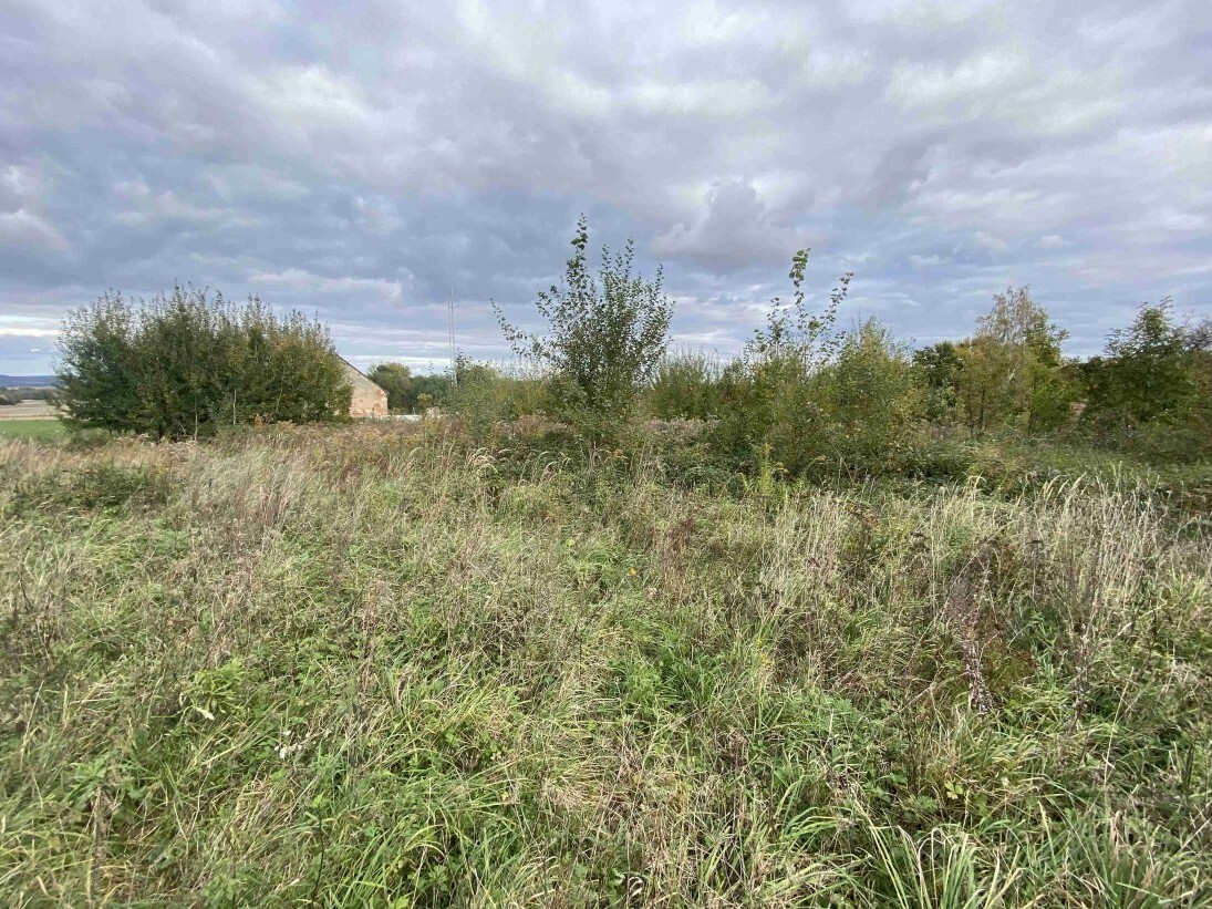 Stavební pozemek o velikosti 1651m2, Hoštice