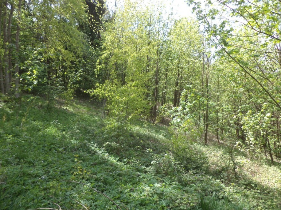 Pozemek o velikosti 1958m2, Líšný