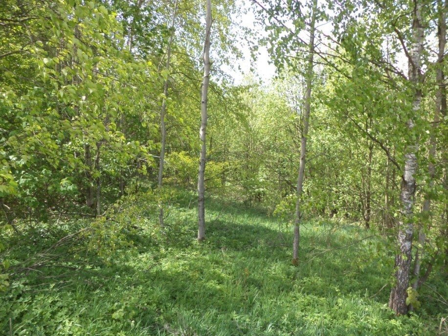 Pozemek o velikosti 1958m2, Líšný