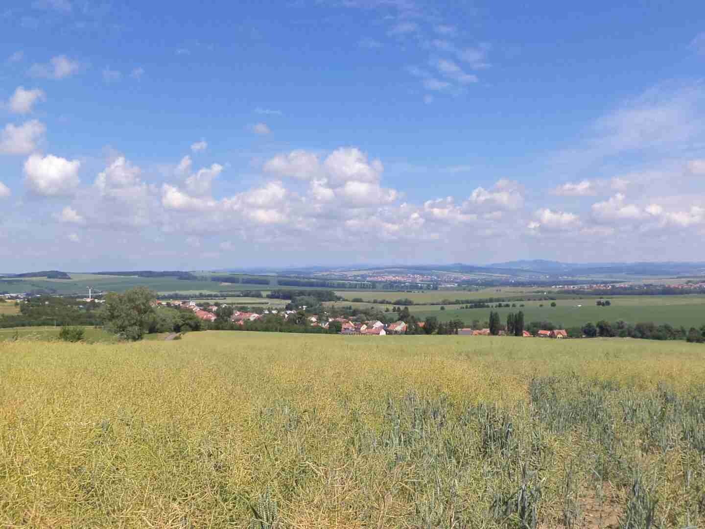 Pozemek o velikosti 8978m2, Slavkov u Uherského Brodu