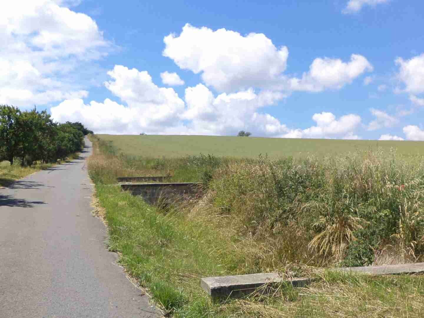 Pozemek o velikosti 8978m2, Slavkov u Uherského Brodu