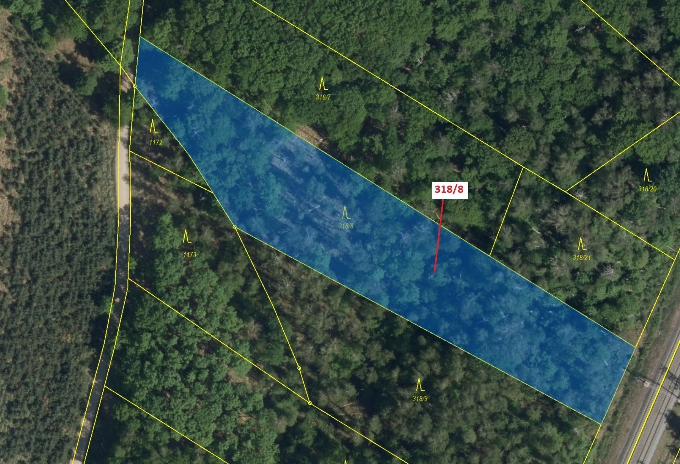 Lesní pozemek o výměře 5317 m2, podíl 1/1, katastrální území Čeperka, obec Čeperka, obec s rozšířeno