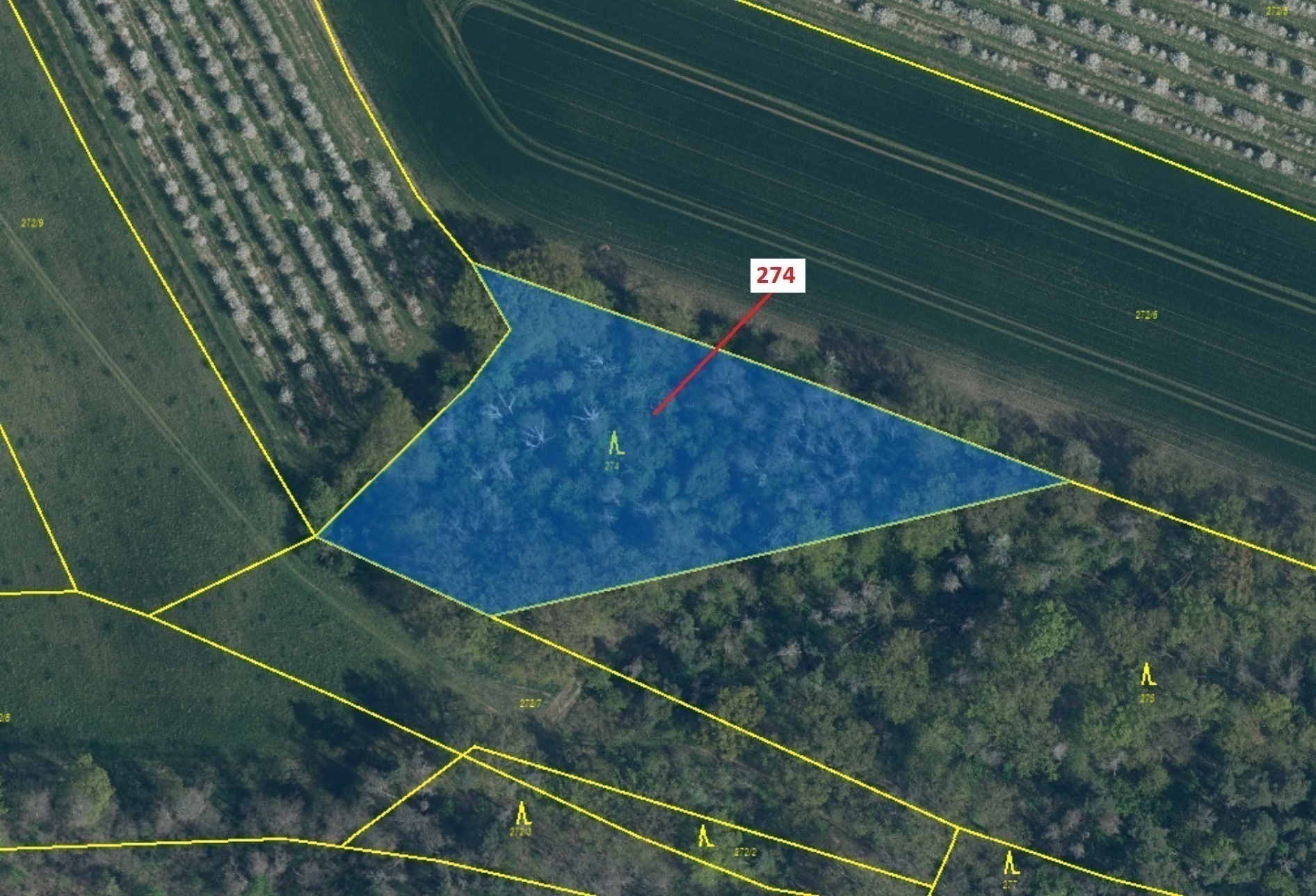 Lesní pozemek o výměře 4 557 m2, podíl 1/1, katastrální území Jeviněves, obec Jeviněves, obec s rozš