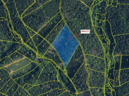 Prodej pozemku, les, 10 166 m²