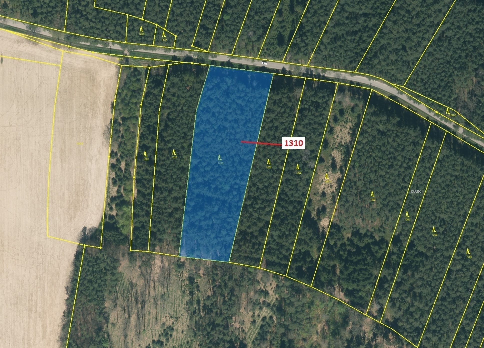 Lesní pozemek o výměře 7441 m2, podíl 1/1, katastrální území Rybova Lhota, obec Skalice, obec s rozš