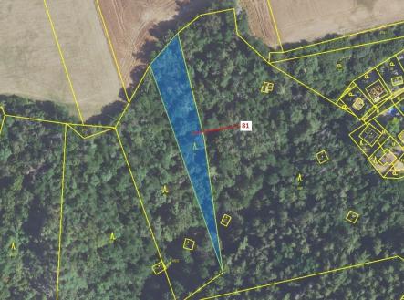 Prodej pozemku, les, 1 816 m²