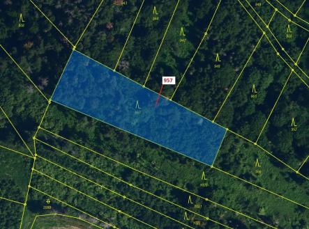 Prodej pozemku, les, 2 344 m²