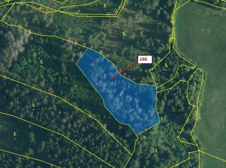 Prodej pozemku, les, 4 542 m²