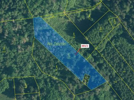 Prodej pozemku, les, 2 895 m²