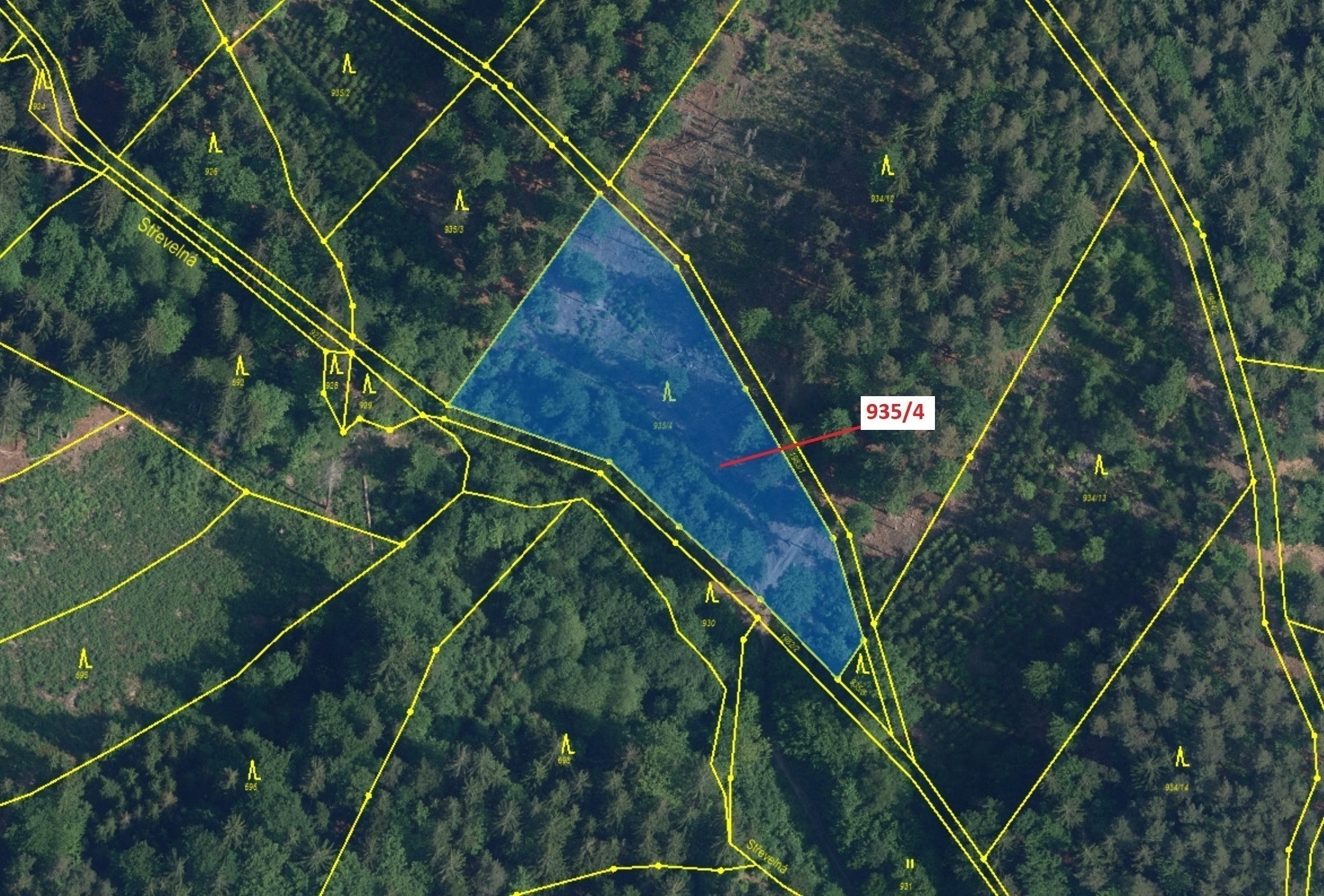 Lesní pozemek o výměře 3 532 m2, podíl 1/1, katastrální území Jílové u Držkova, obec Jílové u Držkov