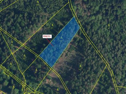 Prodej pozemku, les, 3 439 m²