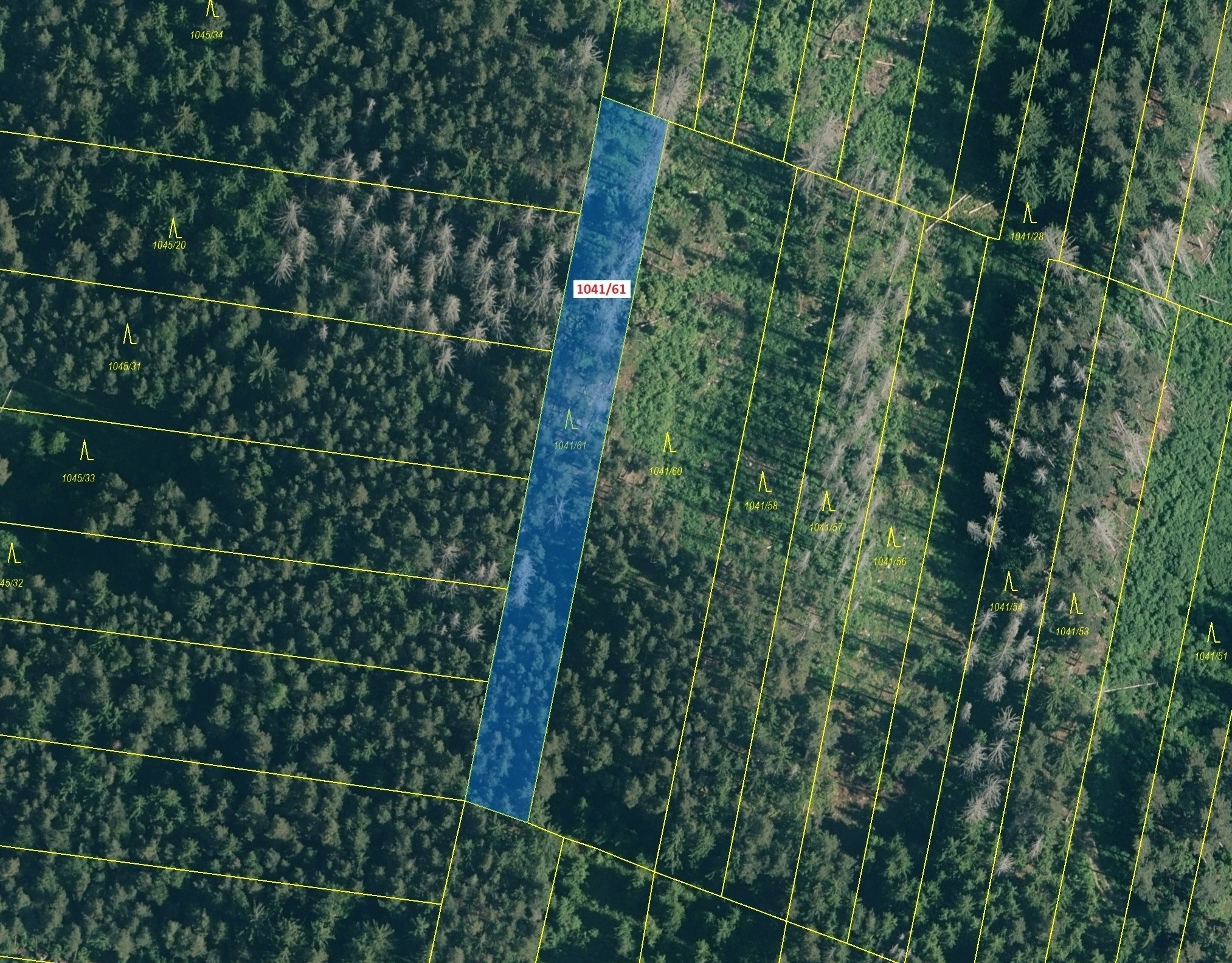 Lesní pozemek o výměře 2039 m2, podíl 1/1, katastrální území Onšovice u Čkyně, obec Čkyně, obec s ro