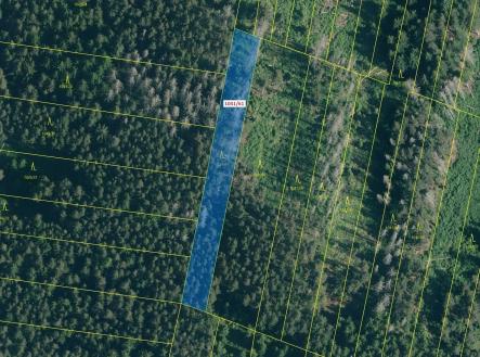 Prodej pozemku, les, 2 039 m²