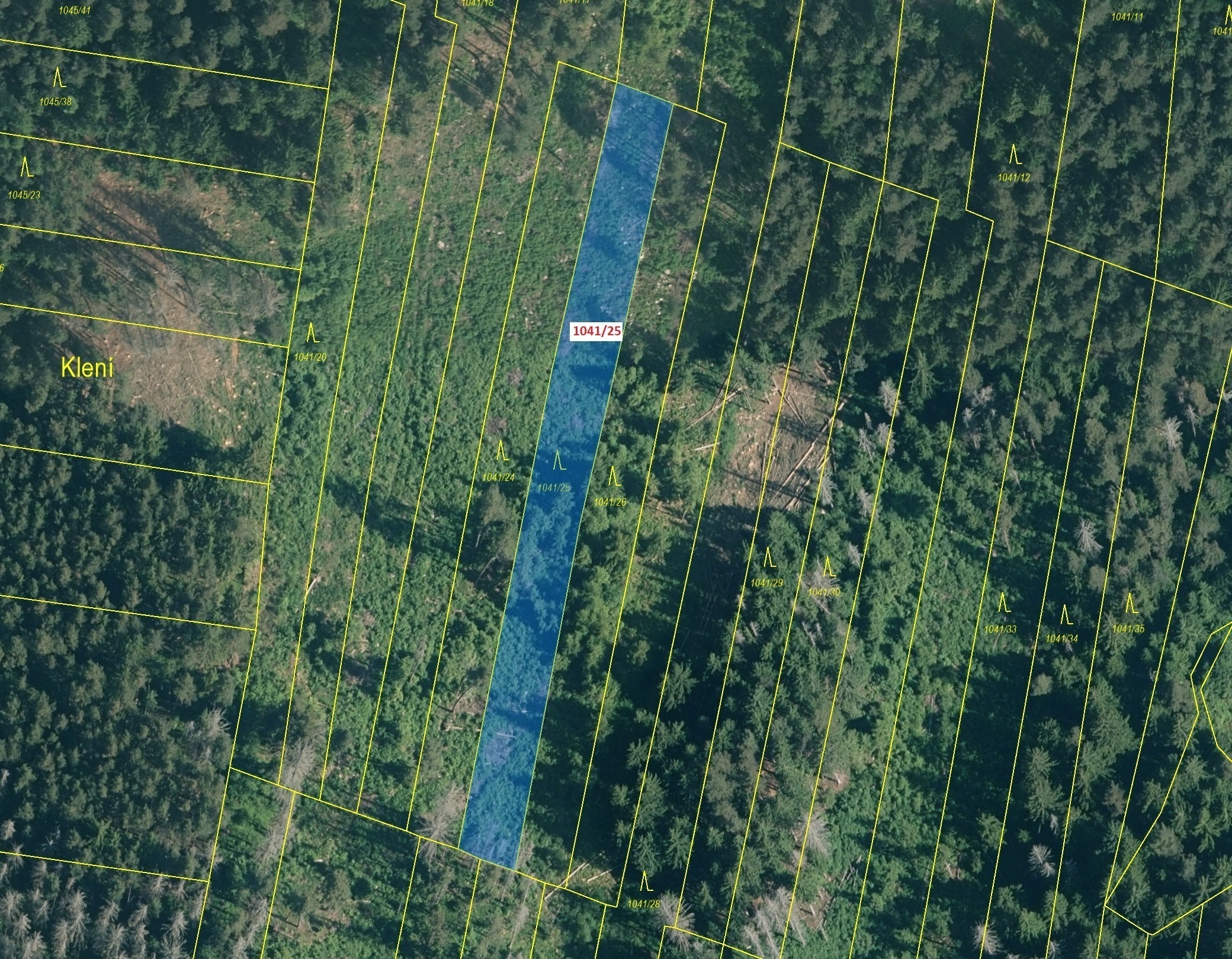 Lesní pozemek o výměře 2082 m2, podíl 1/1, katastrální území Onšovice u Čkyně, obec Čkyně, obec s ro