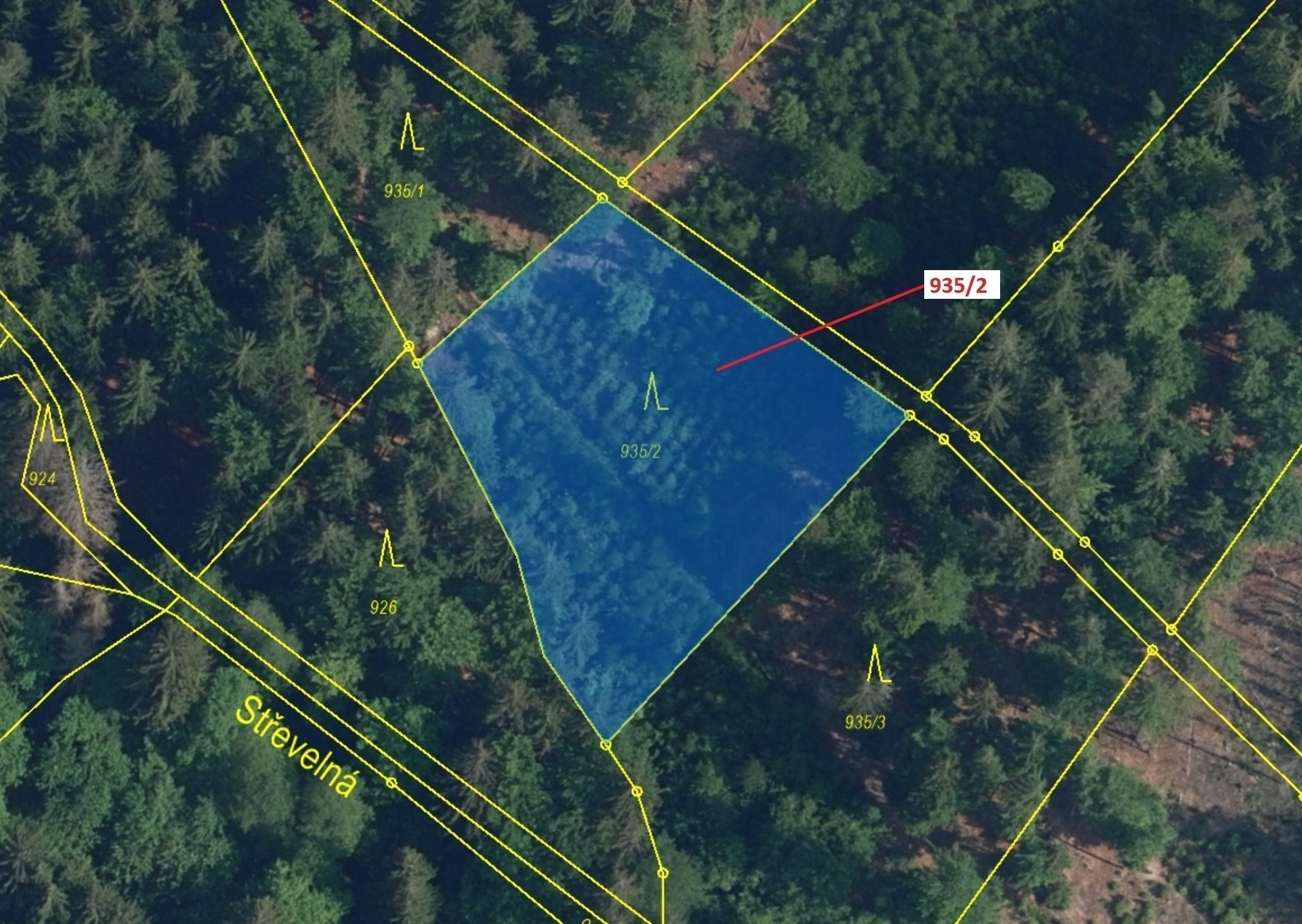 Lesní pozemek o výměře 1684 m2, podíl 1/1, katastrální území Jílové u Držkova, obec Jílové u Držkova