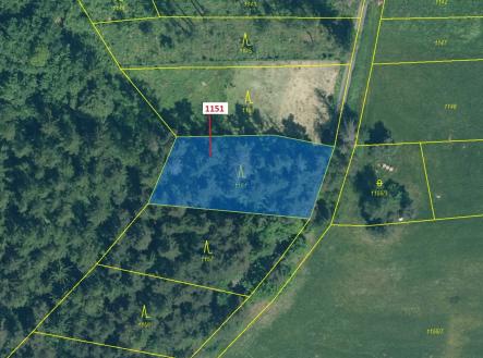 Prodej pozemku, les, 1 331 m²